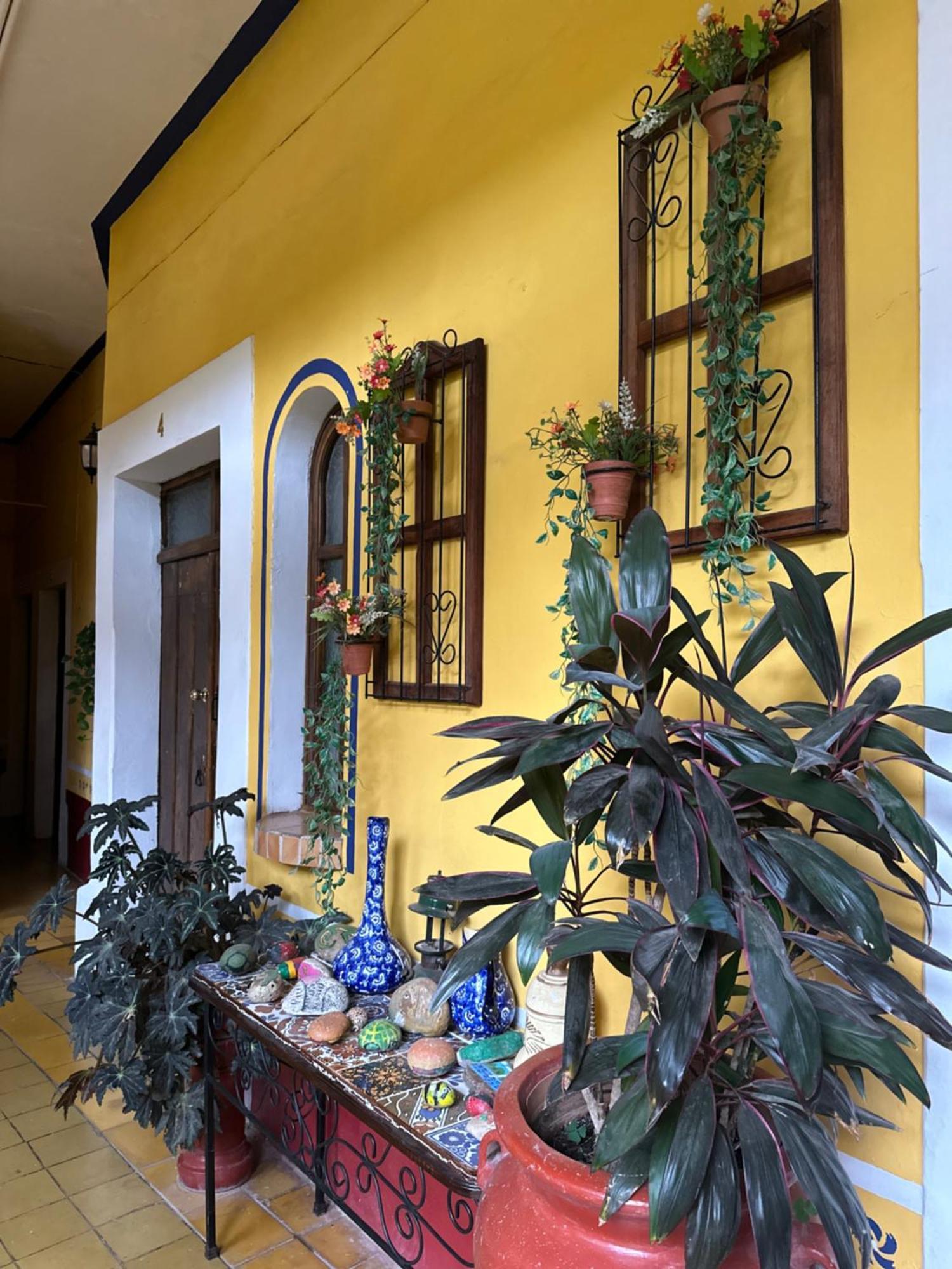 Copa De Oro Hotel Boutique Mascota Exterior foto