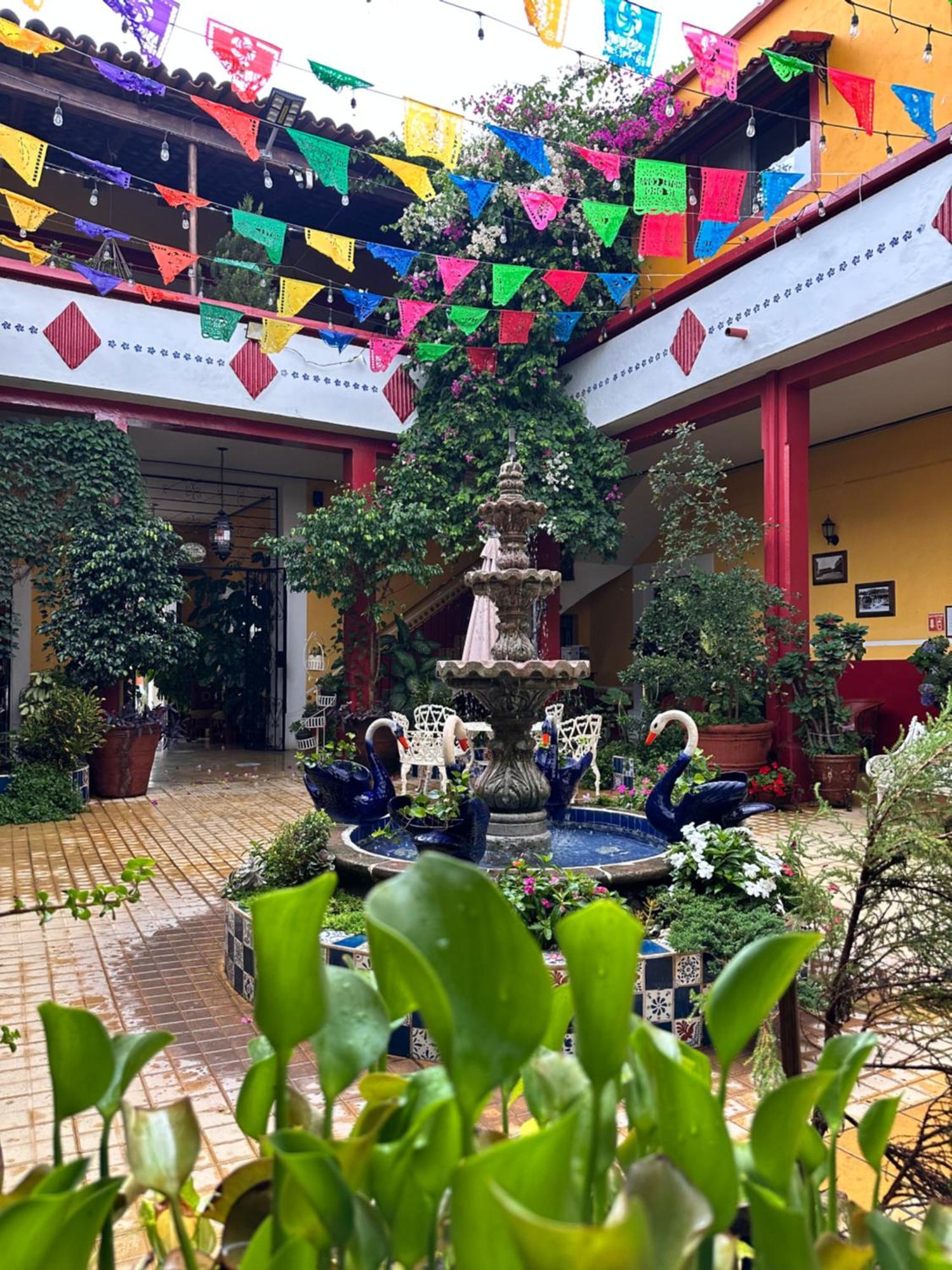 Copa De Oro Hotel Boutique Mascota Exterior foto