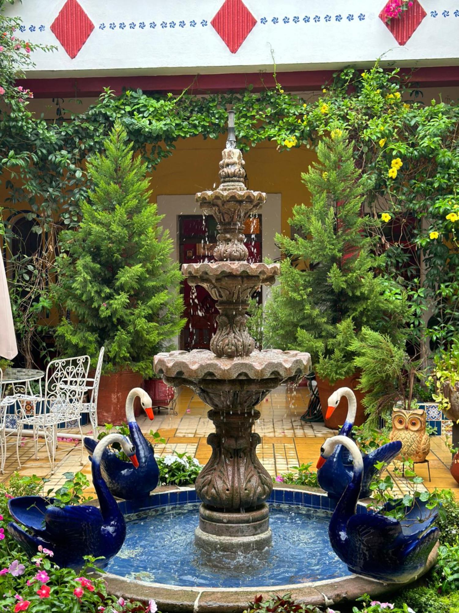 Copa De Oro Hotel Boutique Mascota Exterior foto
